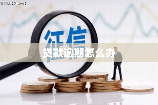 武进贷款逾期怎么办