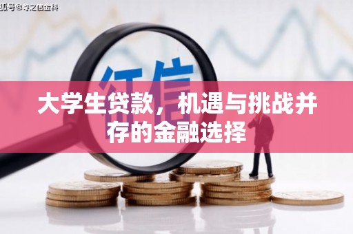 望安大学生贷款，机遇与挑战并存的金融选择