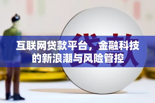 横沥互联网贷款平台，金融科技的新浪潮与风险管控