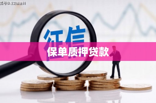 镇远保单质押贷款