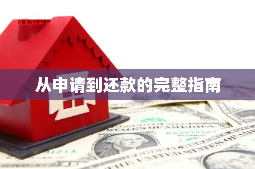 宝山从申请到还款的完整指南