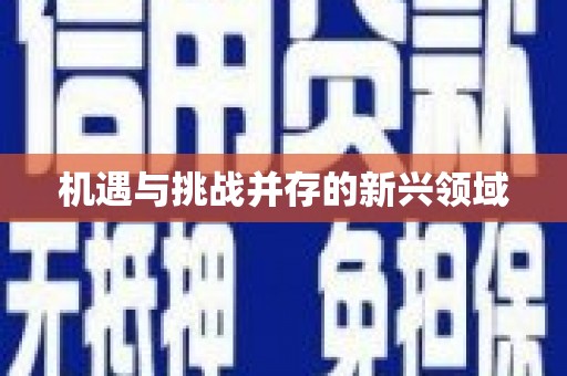 正安机遇与挑战并存的新兴领域