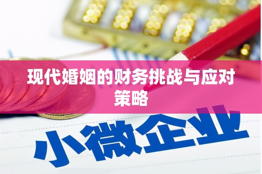 海城现代婚姻的财务挑战与应对策略