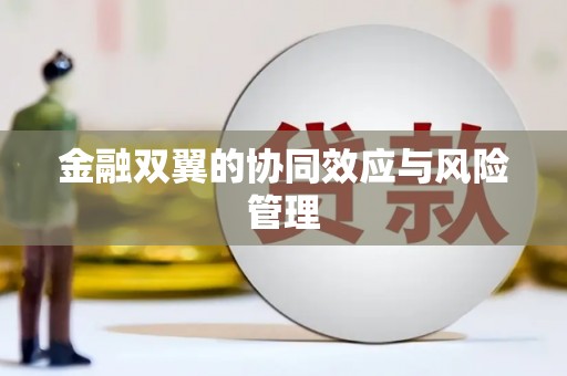 永靖金融双翼的协同效应与风险管理