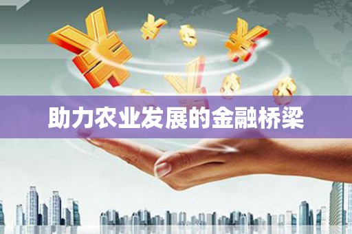 石鼓助力农业发展的金融桥梁
