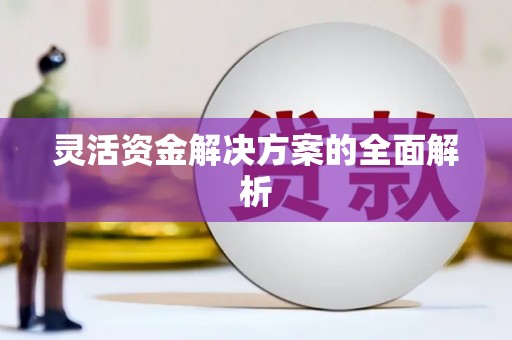 南海灵活资金解决方案的全面解析