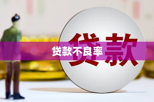 开化贷款不良率