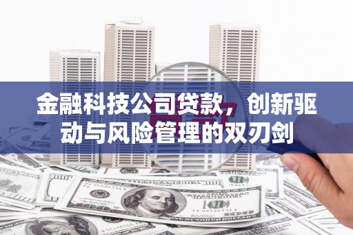 沙鹿金融科技公司贷款，创新驱动与风险管理的双刃剑